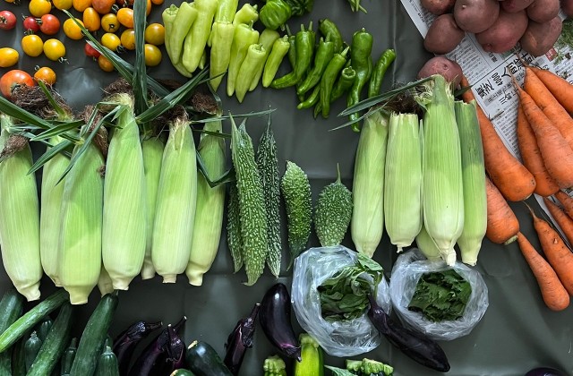 有機的管理の野菜